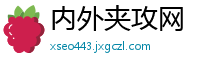 内外夹攻网